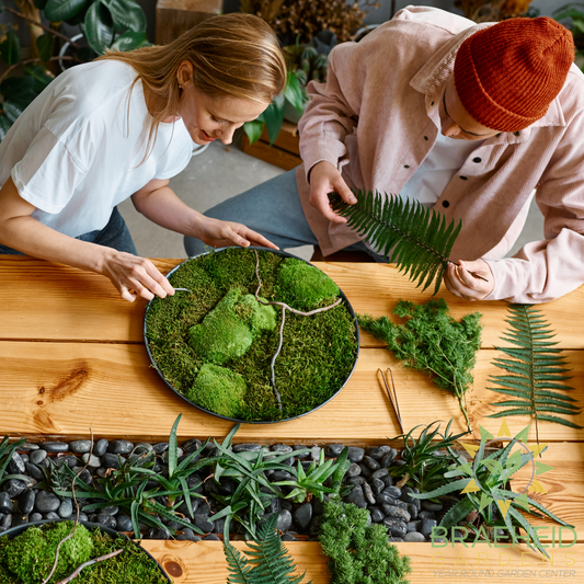 Premium Preserved Reindeer Moss