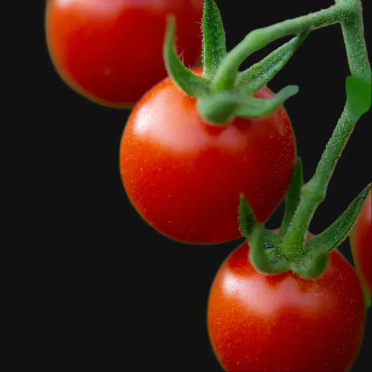Red Cherry Tomato