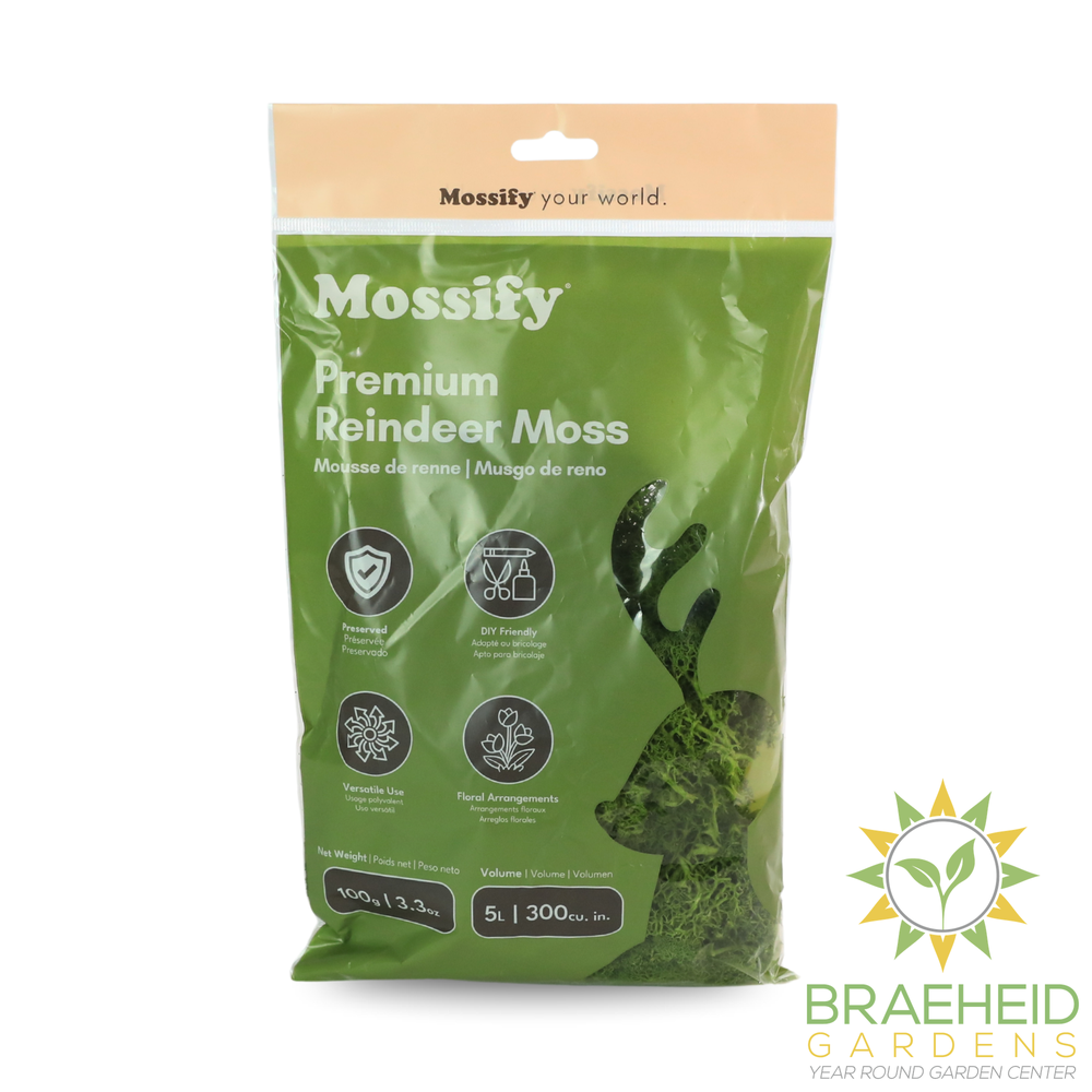 Premium Reindeer Moss Bag