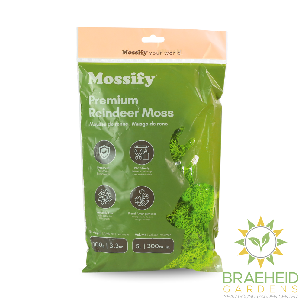Premium Reindeer Moss Bag