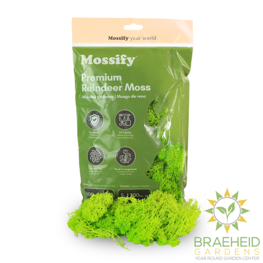 Premium Reindeer Moss Bag