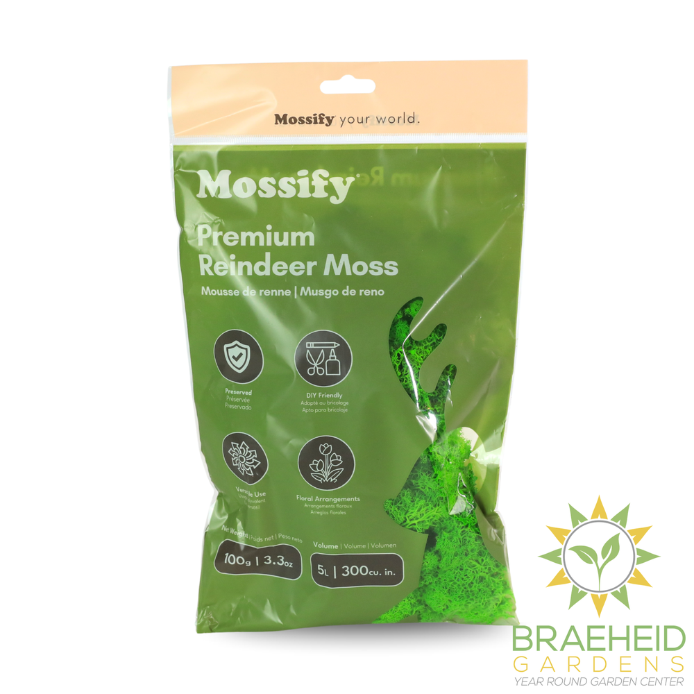 Premium Reindeer Moss Bag