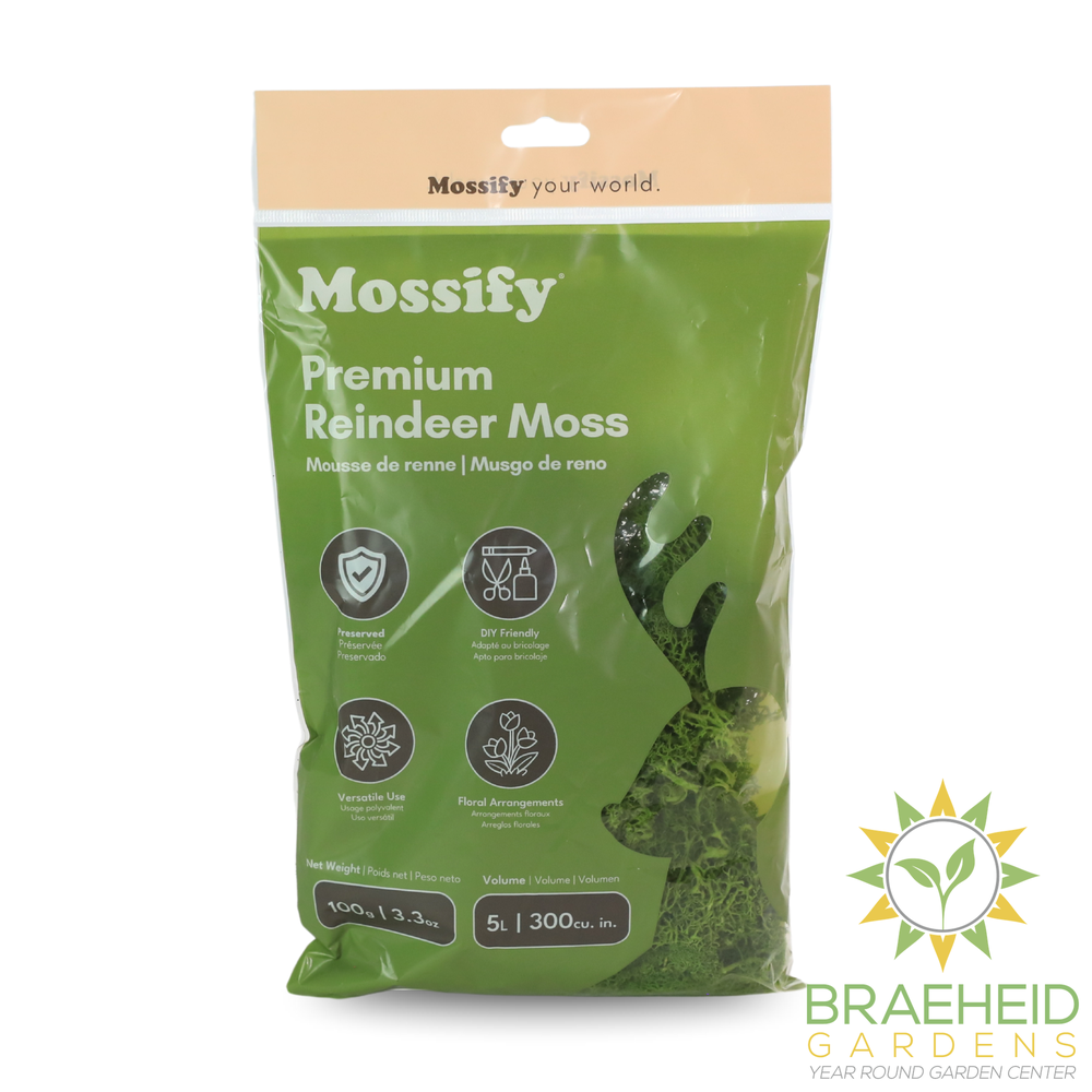 Premium Reindeer Moss Bag