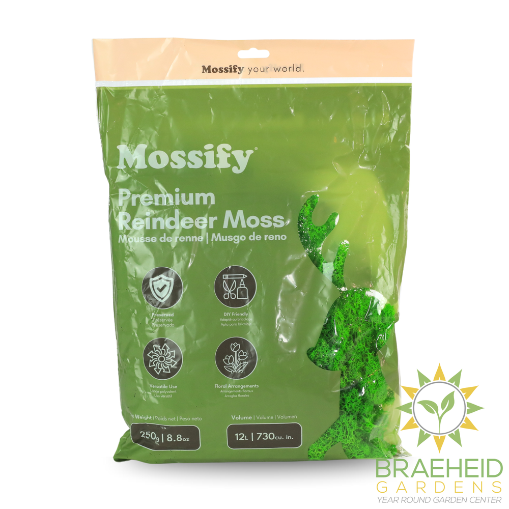 Premium Reindeer Moss Bag