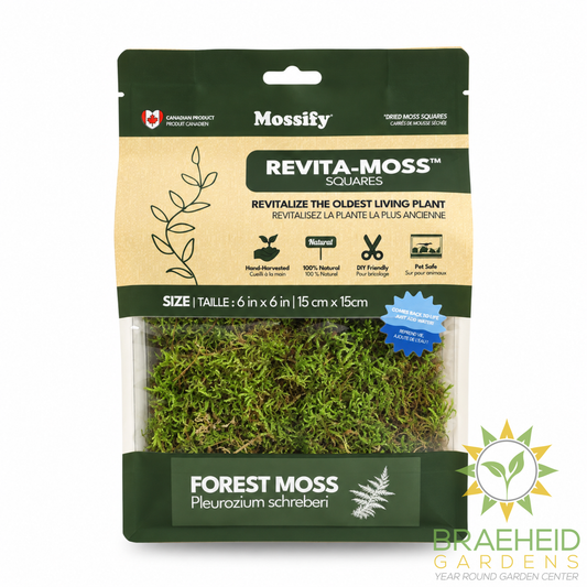 Natural Canadian Forest Moss - Revita-Moss™ (Pleurozium schreberi)