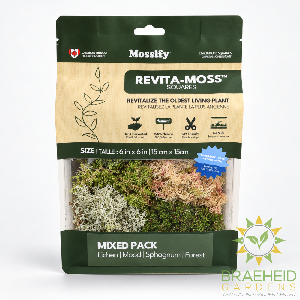 Revita-Moss™ Mixed Pack