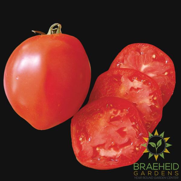 Roma/Paste Tomato Mix