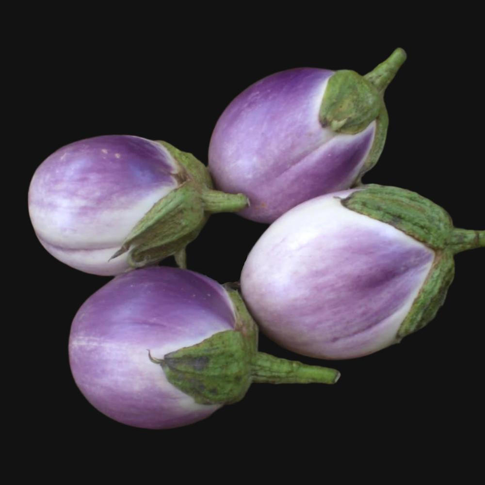 Rosa Bianca Eggplant