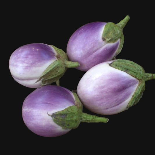 Rosa Bianca Eggplant