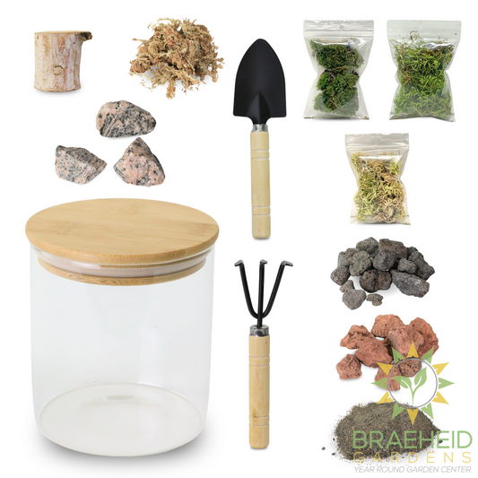 Mossify Terrarium Kit
