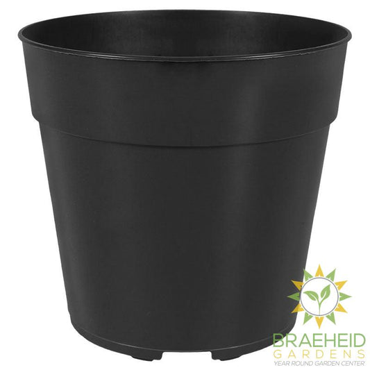 HC 5" KORD STD REGAL GRN 500/CV