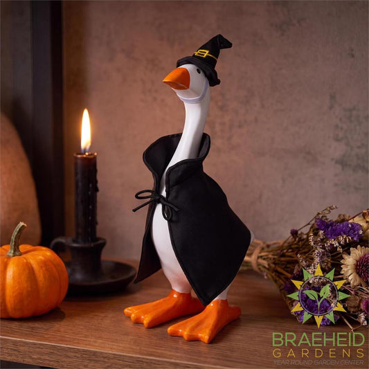 Gordy the Desktop Goose Outfit - Witch
