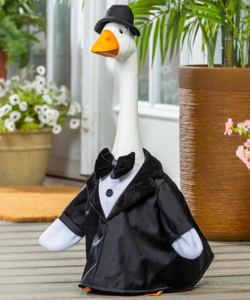 Giddy the Goose-Groom Outfit