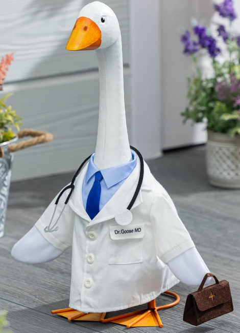 Giddy the Goose-Doctor Outfit