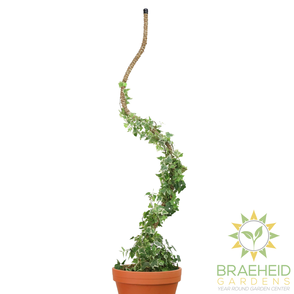 The Original Bendable Coir Pole™ - Best Seller (Tape Included)
