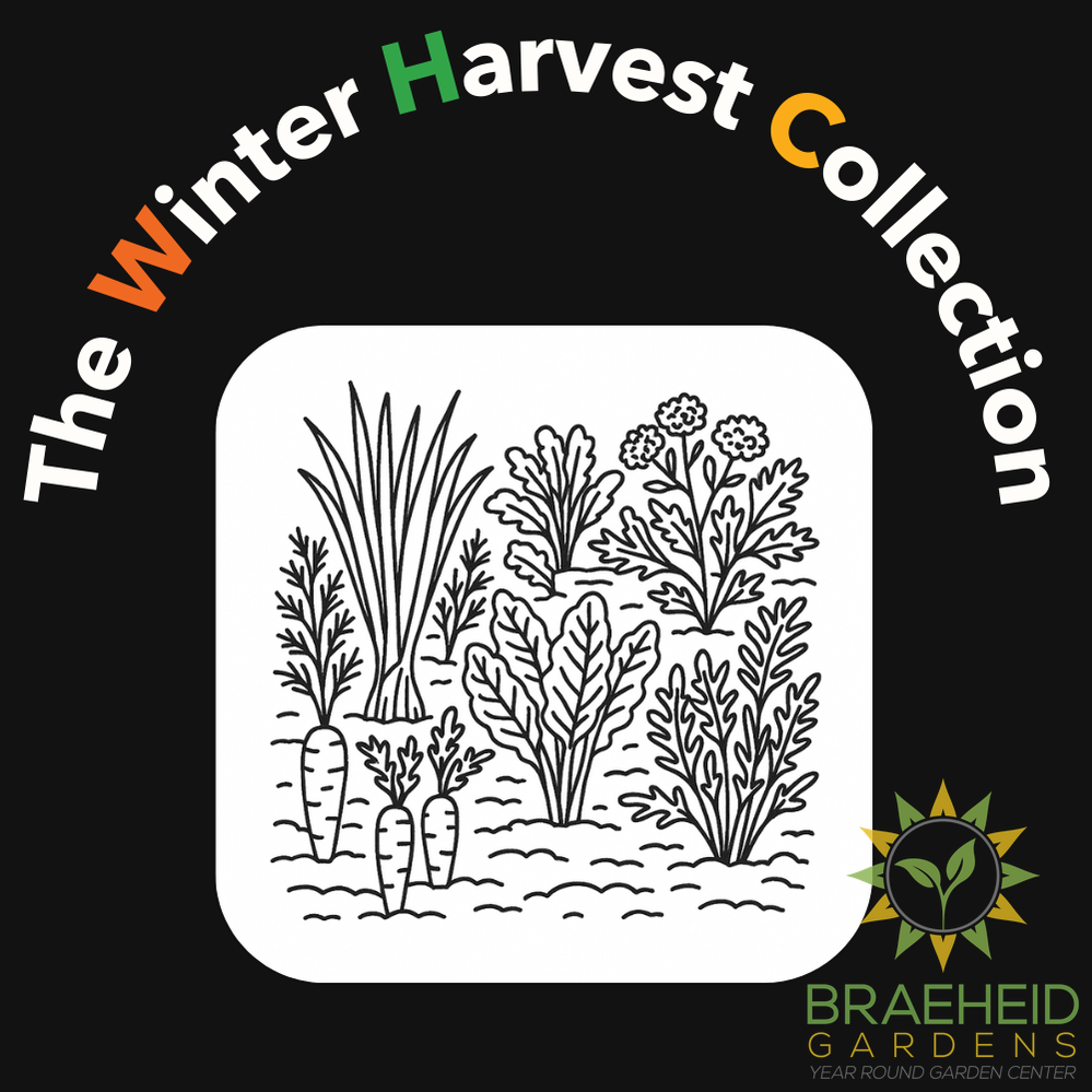 The Winter Harvest Collection