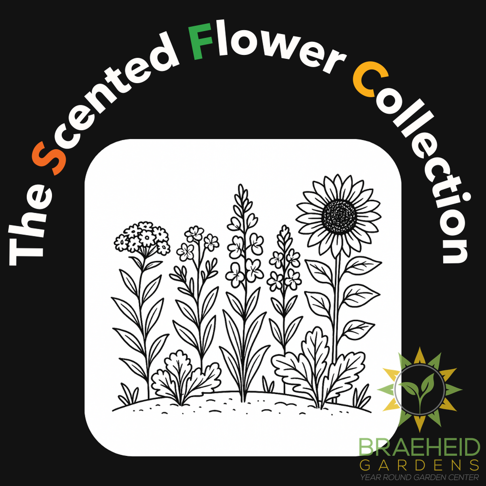 The Scented Flower Collection
