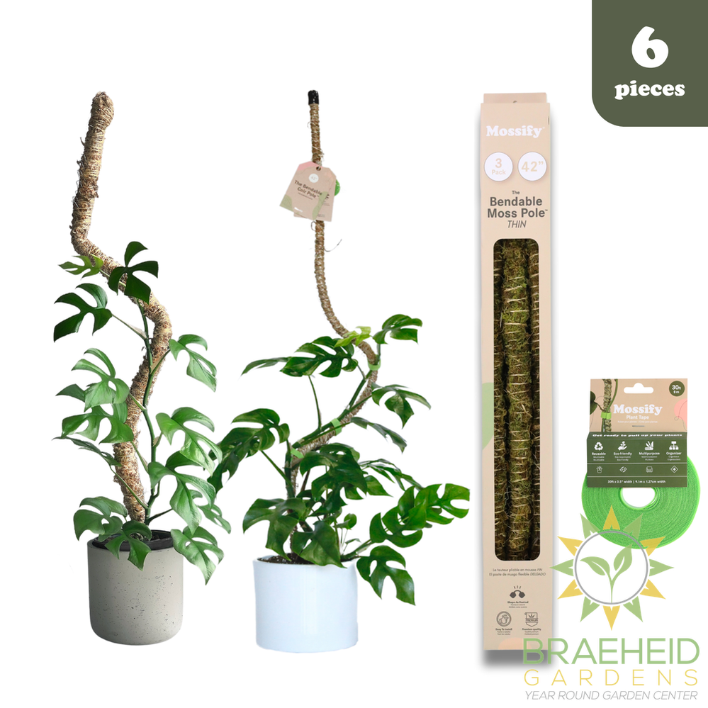 Ultimate Bendable Plant Support Pack