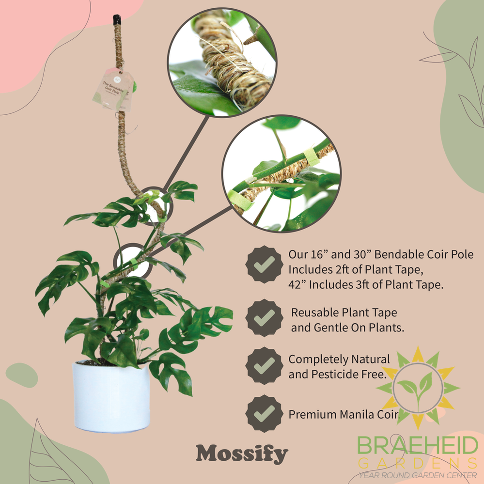 Ultimate Bendable Plant Support Pack