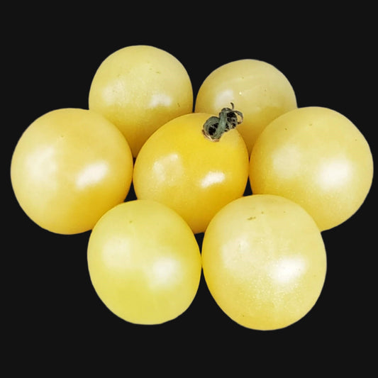 White Cherry Tomato