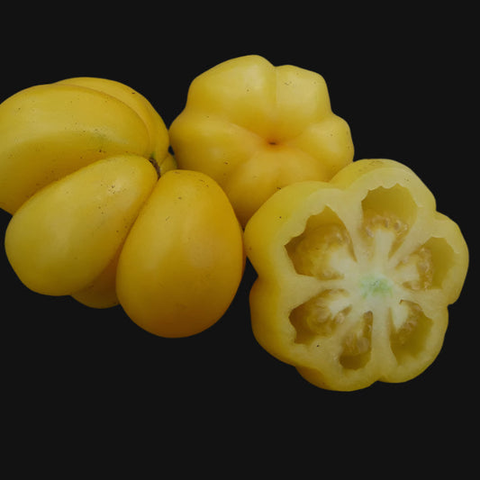 Yellow Stuffer Tomato