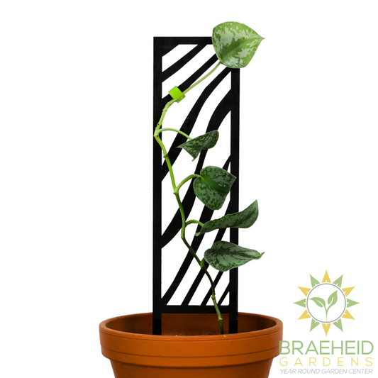 Zebra Wooden Trellis