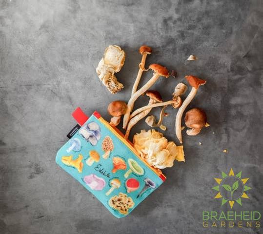 Mushroom Zipper Bag