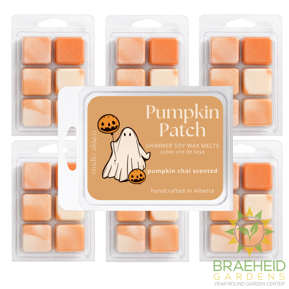 Pumpkin Chai Pumpkin Patch Soy Wax Melt | Autumn Halloween