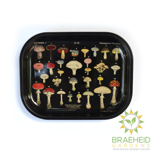 Small Metal Black Mushroom Ritual Tray / Rolling Tray