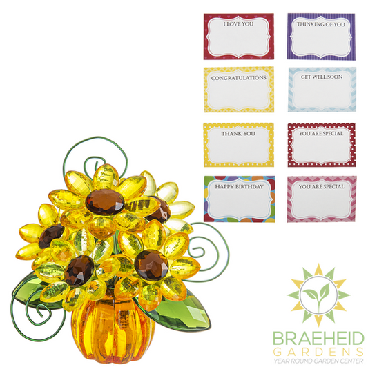 Sunflower Pumpkin Posy Pot w/ Celebration Cards