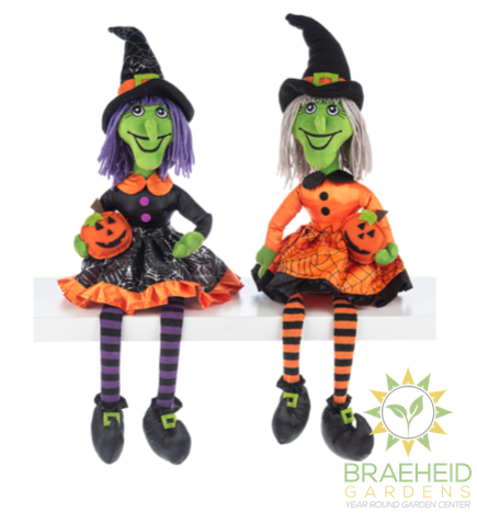 Snarky & Spooktacular Witch Shelfsitters