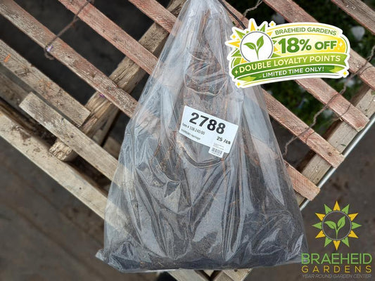 Buy Heritage Everbearing Raspberry an Edible Shrub in Grande Prairie Alberta - Braeheid Gardens Ltd.