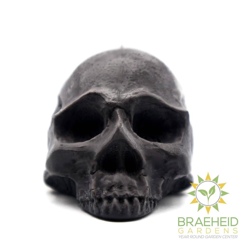 Half Skull | Pillar Candle