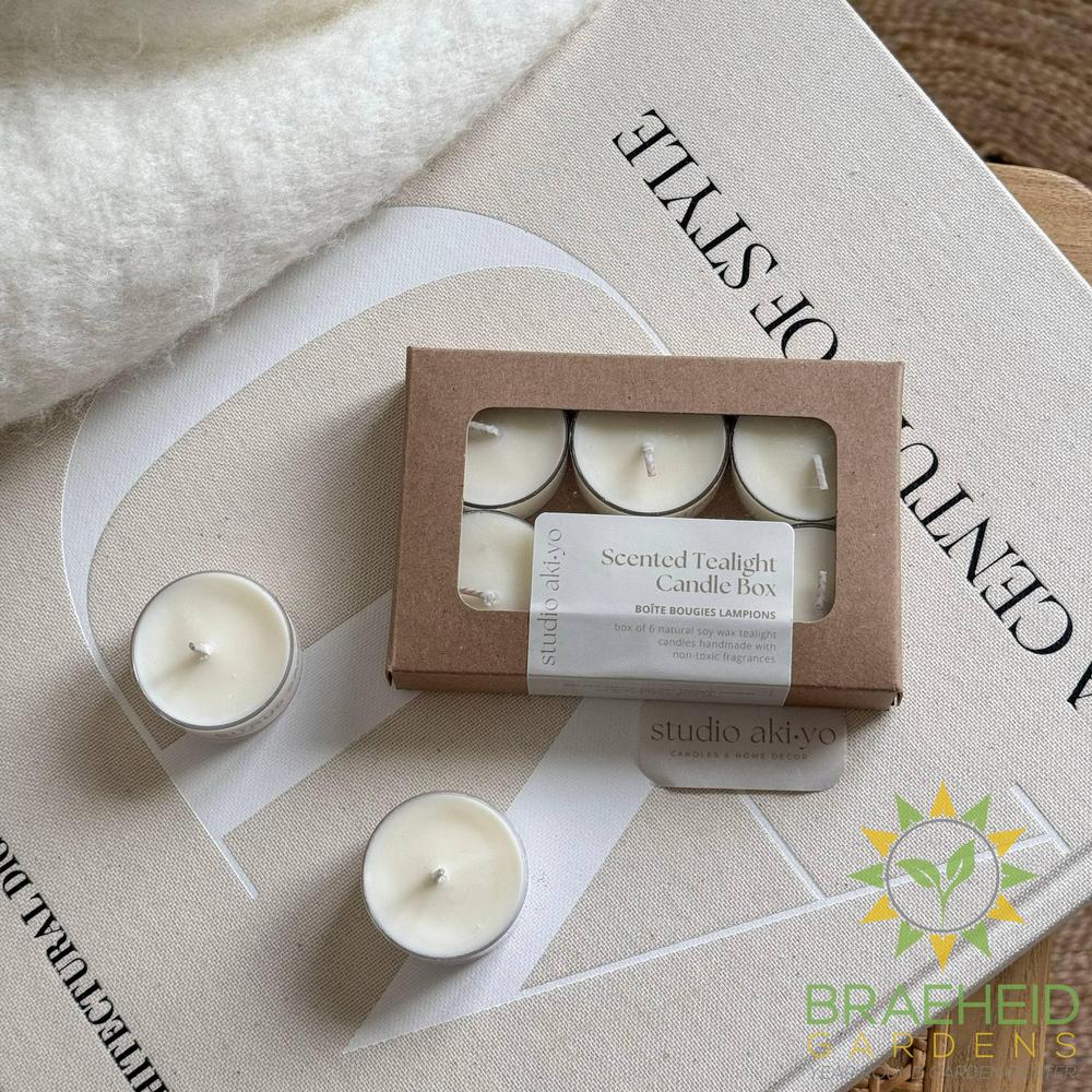 Citrus Sage Tealight Soy Candle Box of 6 | Clean Citrusy