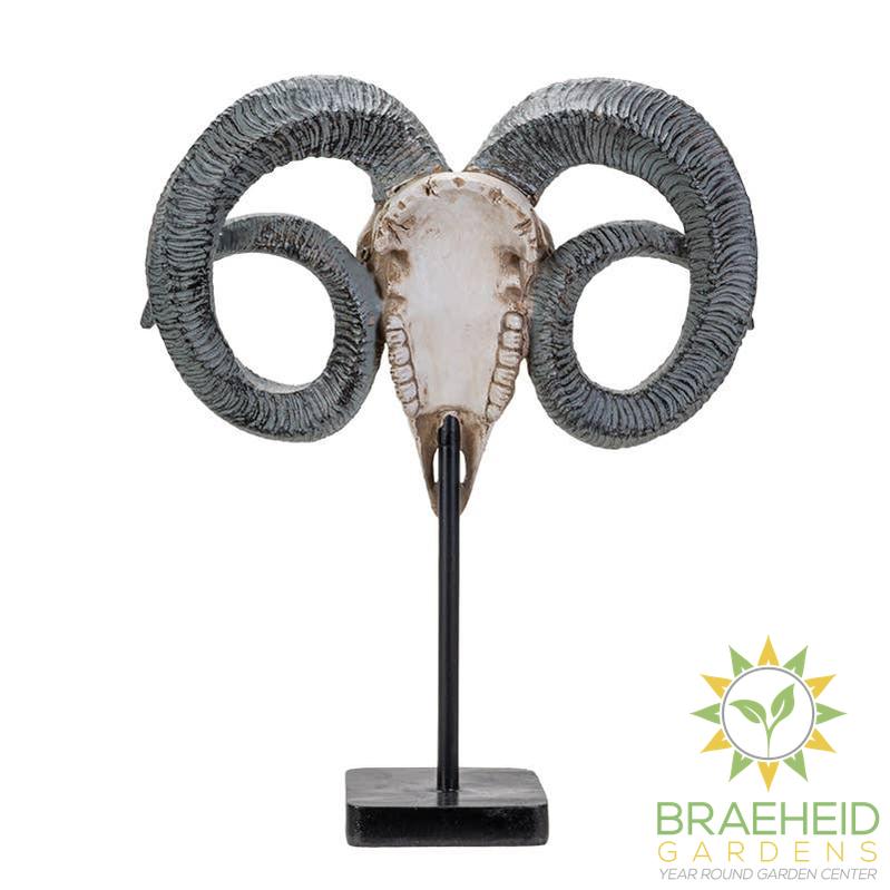 Carved Ram Decorative Skull