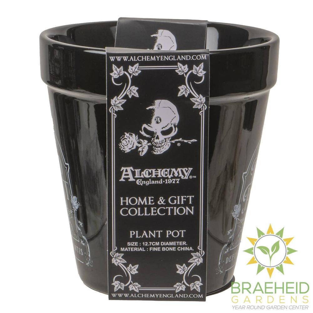 Dead Plant Garden Planter Halloween Decor