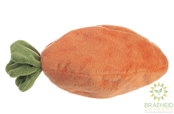 Carrot Learn & Grow (4 pc. set)