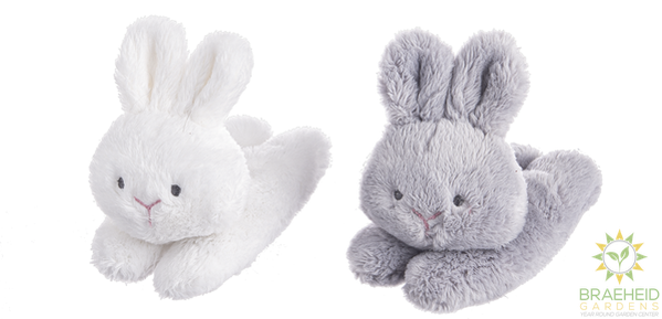 Carrot Learn & Grow (4 pc. set)