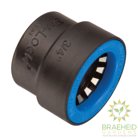 Blu Lock Fittings