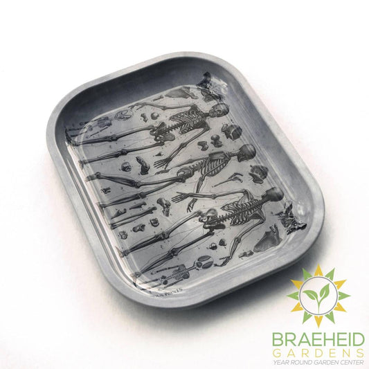 Small Metal Skeleton Diagram Trinket Tray / Vintage Anatomy