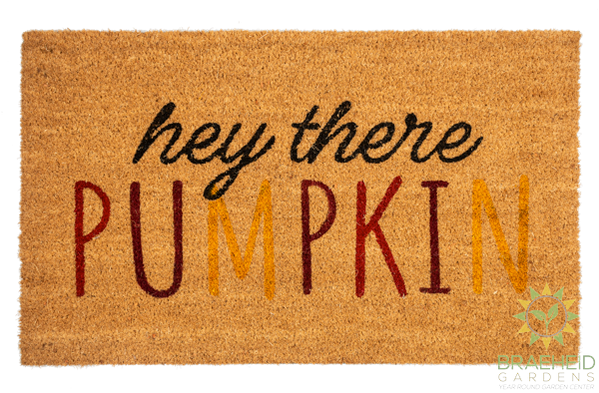 Hey There Pumpkin Doormat - NO SHIP -