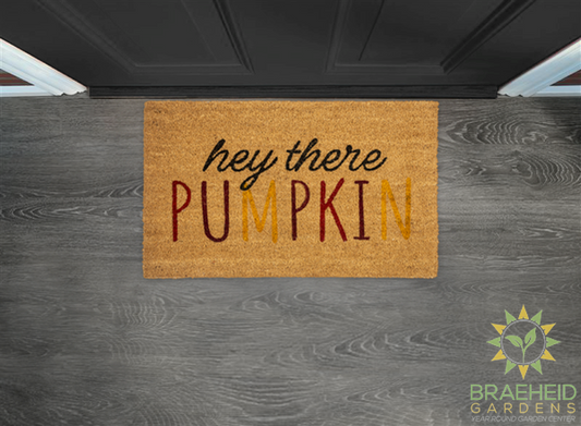 Hey There Pumpkin Doormat - NO SHIP -
