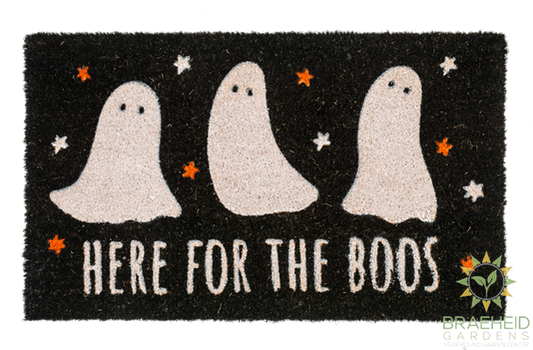 Ghost Doormat - NO SHIP -