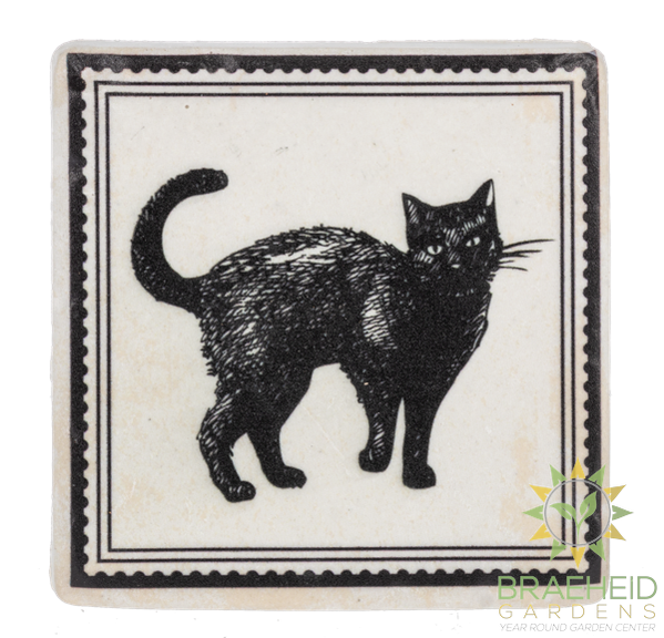 Gothic Halloween Coaster (4 pc. set)