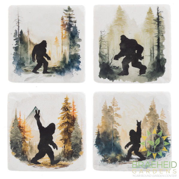 Bigfoot Coaster (4 pc. set)