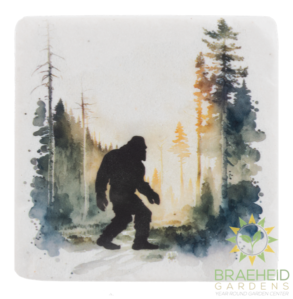 Bigfoot Coaster (4 pc. set)