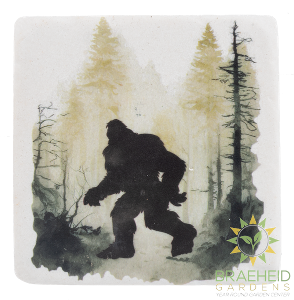 Bigfoot Coaster (4 pc. set)