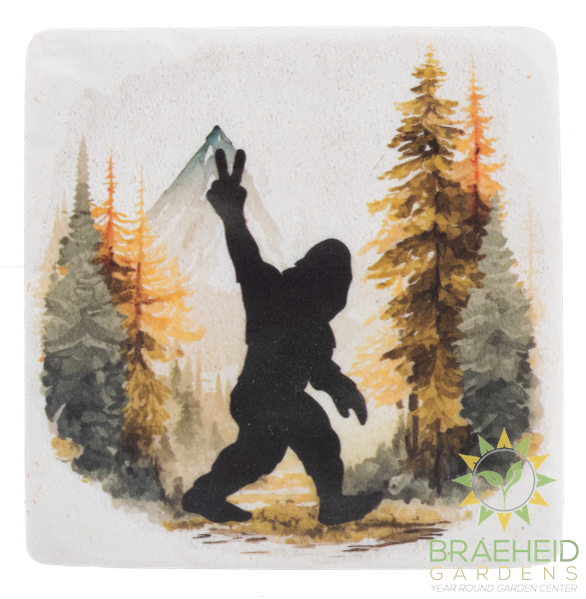 Bigfoot Coaster (4 pc. set)