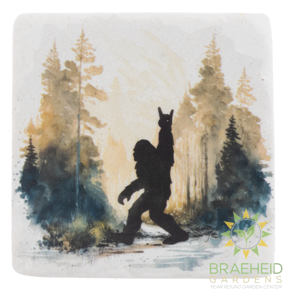 Bigfoot Coaster (4 pc. set)