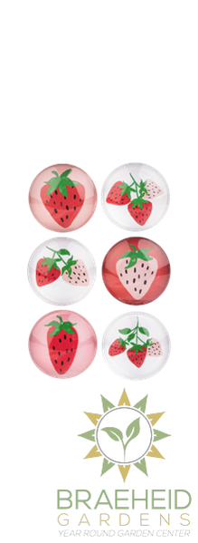 Strawberry Magnet
